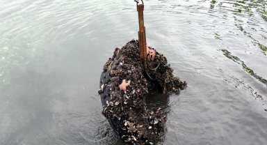 Kocaeli'de deniz dibinden 50 lastik çıktı