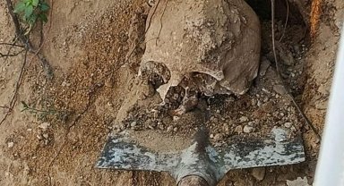 Bahçede yapılan kazıda insan kafatası ve kemikler bulundu