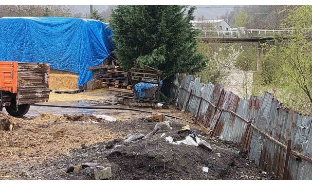 Dereye hayvansal atık bırakan çiftlikler yakalandı