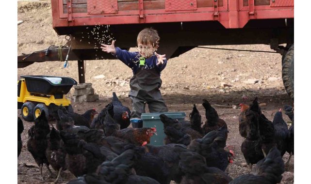 Kocaeli'de çiftçinin yüzünü güldüren destekler rakamlara yansıdı