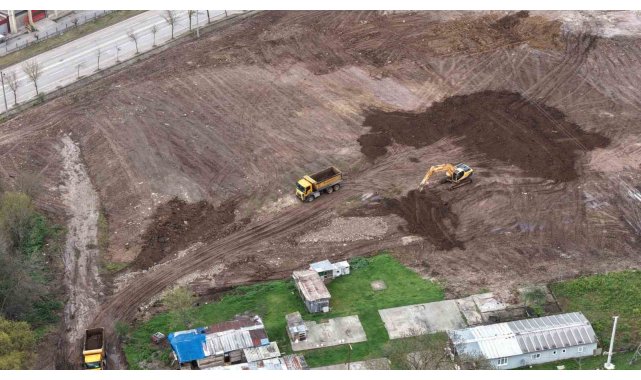 Bu parkta 15 bin gül açacak