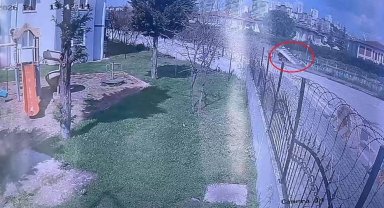 Dereye uçan kamyonetin sürücüsü hayatını kaybetti