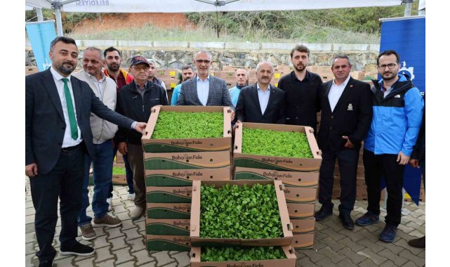 İşlenmeyen araziler üretime dönüyor: Çiftçilere yüzde 75 hibeli fide desteği