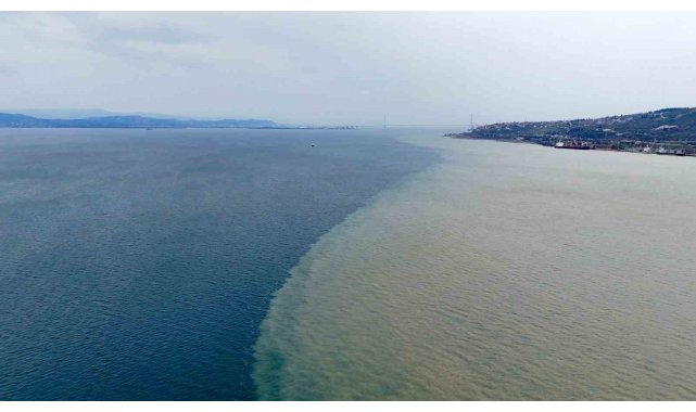 İzmit Körfezi iki renk oldu: Derenin taşıdığı çamur denizin rengini değiştirdi