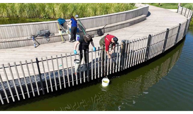 İzmit Millet Bahçesi göletinde bilimsel iyileştirme çalışması başladı