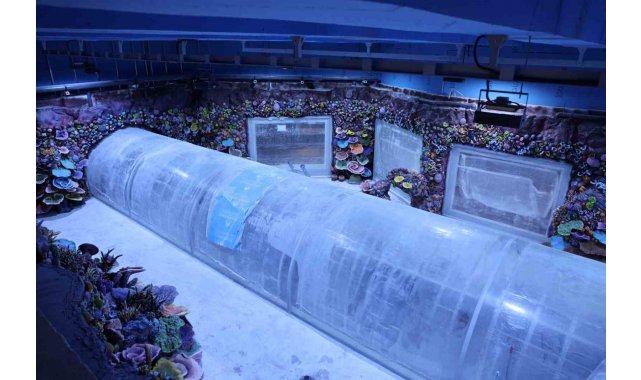 Kocaeli'de su altında dünya turu başlıyor: 30 farklı akvaryumla eşsiz gezi