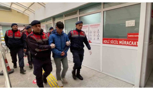 Kulübedeki baltalı ve kazmalı cinayette iki kuzene toplam 30 yıl hapis cezası