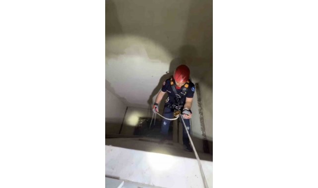 Apartman boşluğuna düşen yavru martı ekiplerce kurtarıldı