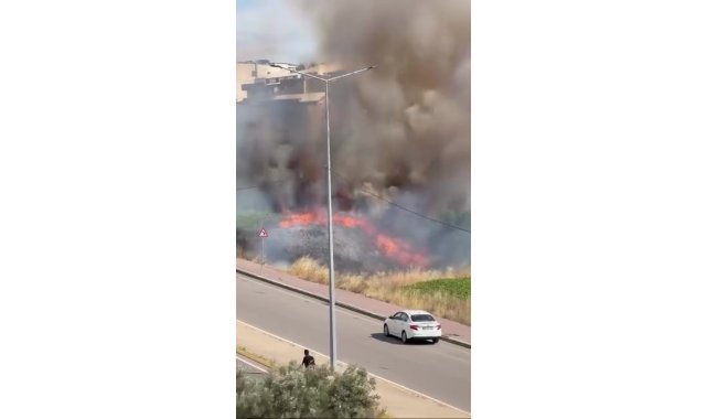 Darıca'da arazide korkutan yangın