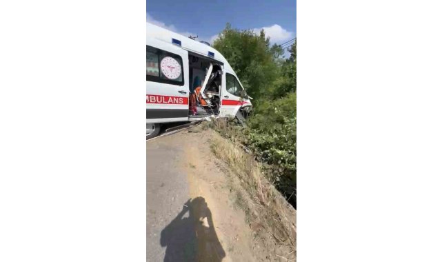 Hasta taşıyan ambulans yoldan çıkarak yeşillik alana savruldu