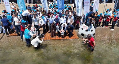 İzmit Körfezi'ne 6 bin yeni misafir
