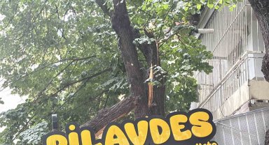 İzmit'te lokantanın üzerine devrilen ağaç dalları çatıda hasara yol açtı