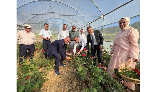 Kadın girişimci hibe desteğiyle Kocaeli'nin ilk gül serasını kurdu