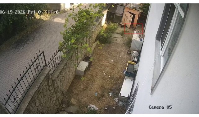 Karganın yumurta hırsızlığı kameraya yansıdı