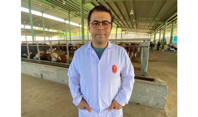 Kene tehdidine dikkat: 200'den fazla hastalık etkeni taşıyabiliyor