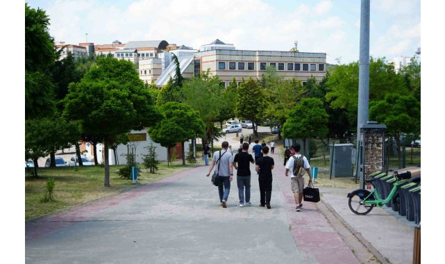 Kocaeli Üniversitesi'nde sahipsiz köpekler azaldı, öğrencilerin endişesi bitmedi