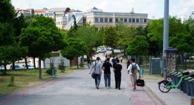 Kocaeli Üniversitesi'nde sahipsiz köpekler azaldı, öğrencilerin endişesi bitmedi