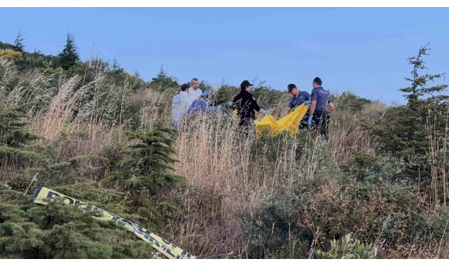 Yürüyüş alanında erkek cesedi bulundu