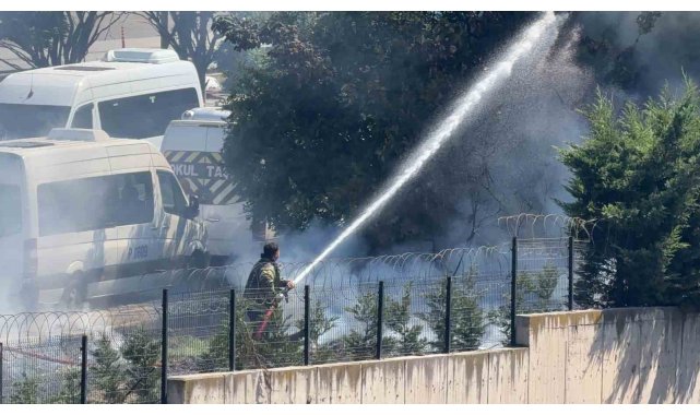 Ağaçlık alanda çıkan yangın büyümeden söndürüldü