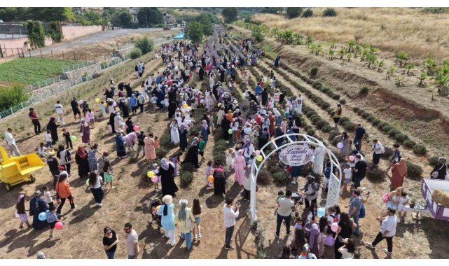 Lavanta kokuları eşliğinde hasat yaptılar