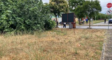 Tartıştığı amcasını palayla öldürdü
